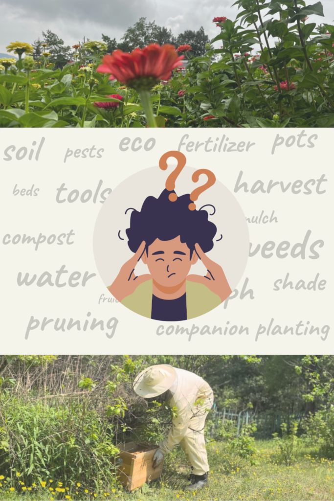 How to start a garden - beginner's guide.