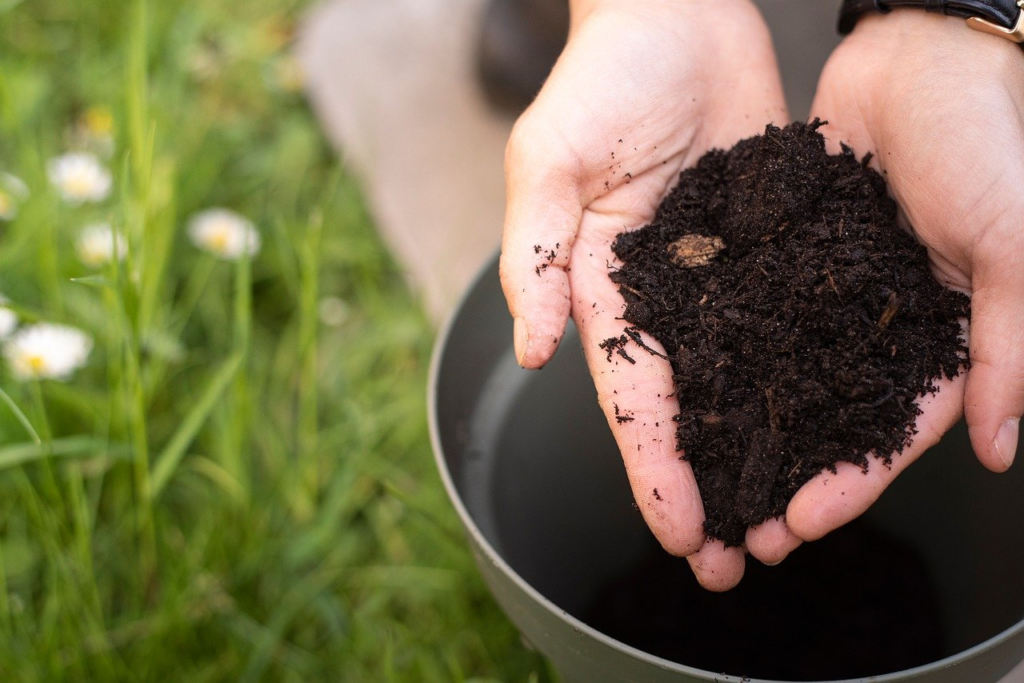 Healthy soil Healthy soil.
Image by AmbreVEGA from Pixabay