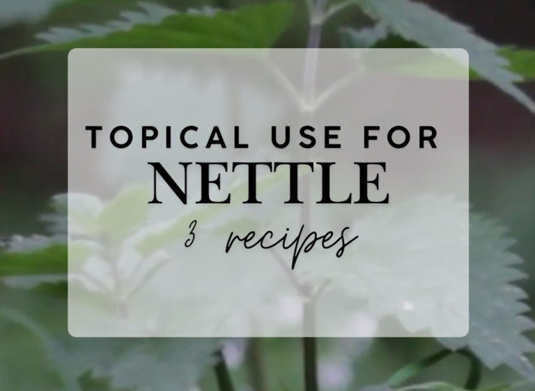 Topical Uses of Nettle: 3 recipes