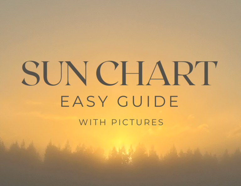 How to Chart Sun in Your Garden?