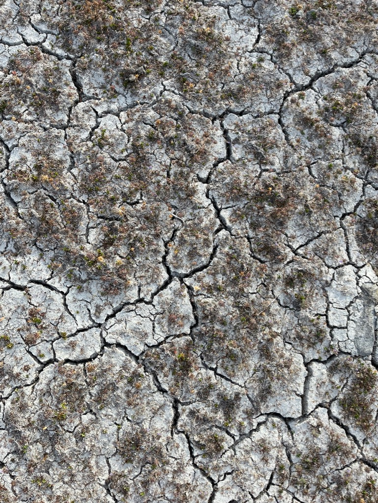 Soil degradation - cracked earth.
