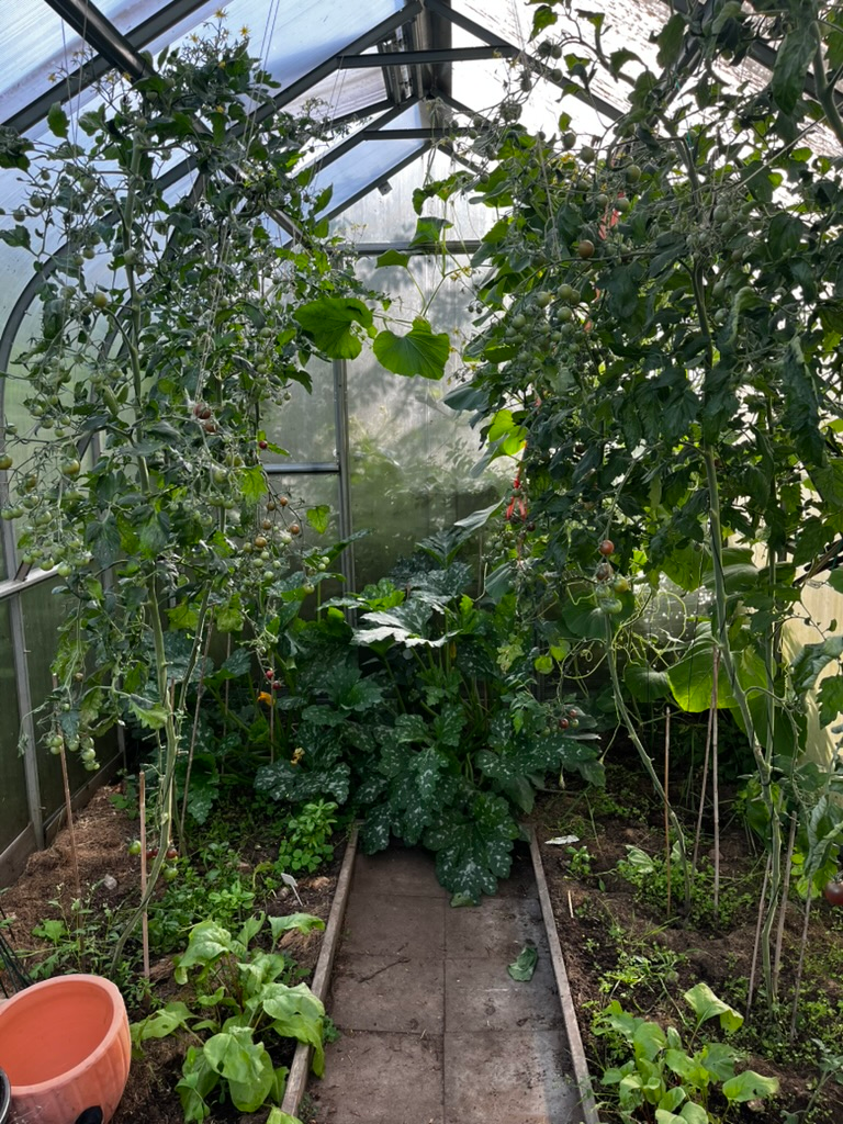 August Gardening To Do List
